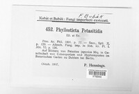 Phyllosticta petasitidis image